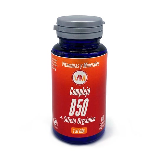 Ynsadiet Vitamine B50 +Silicium 60Cap