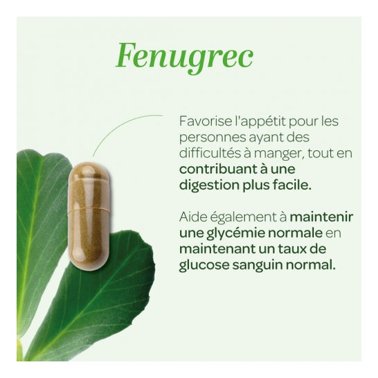 Superdiet Fenugrec Bio 40 Gélules Superdiet Fenugrec Bio 40 Gélules