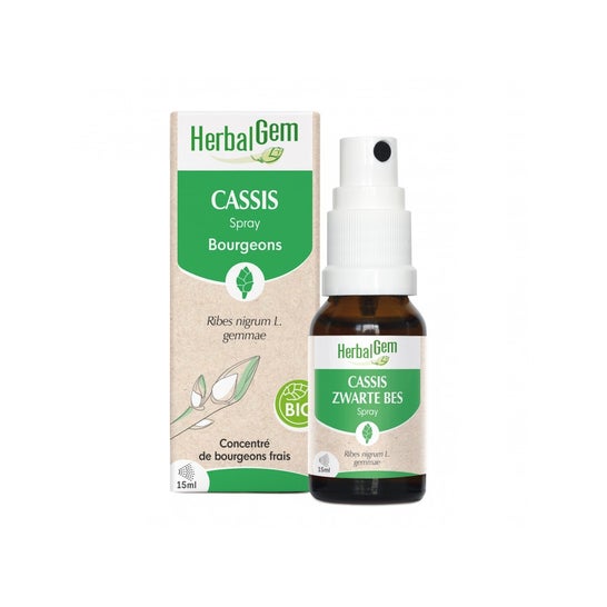 Herbalgem Spray Cassis 15ml