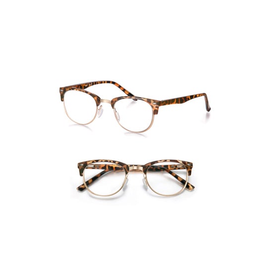 Lunettes Coronation Genova en écaille de tortue +2,50 1 pièce