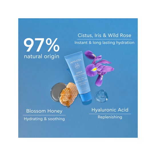 Apivita Aqua Beelicius Aqua Beelicius Gel Crème 40ml