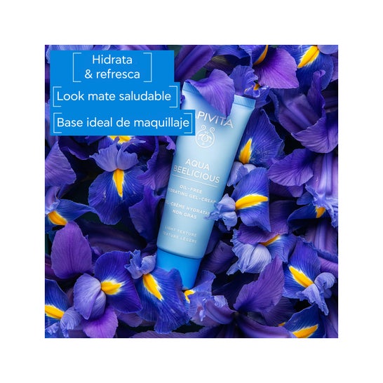 Apivita Aqua Beelicius Aqua Beelicius Gel Crème 40ml