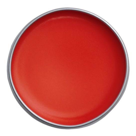 Thader Pharma Traitement pour les Lèvres Nutrilab avec Couleur 02 15 ml