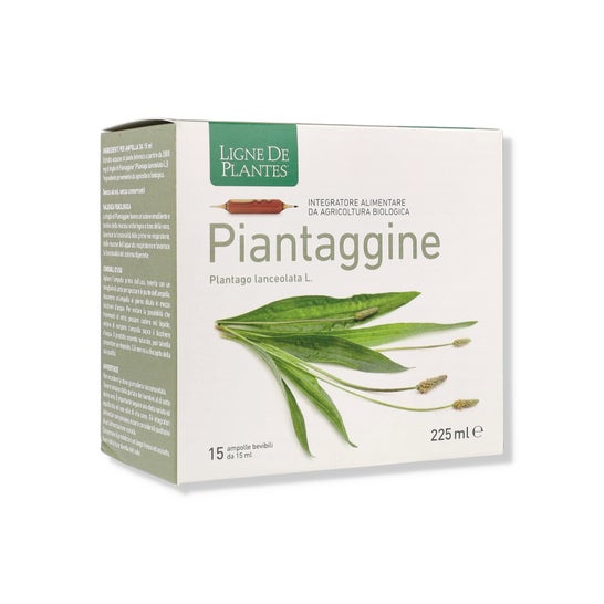 Ligne de Plantes Plantain 15x15ml