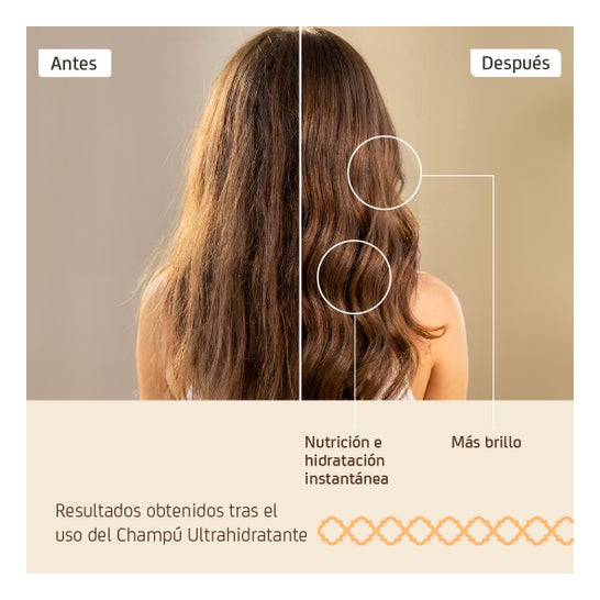 Nuggela & Sulé Shampooing à l'oignon N2 Cheveux secs 250ml
