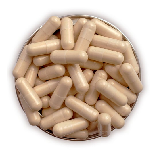 Advanced Nutrition Programme Skin Collagen Synergy 112caps