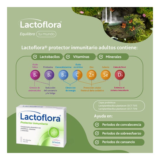 Lactoflora Probiotic Protecteur Immunitaire 30 Capsules