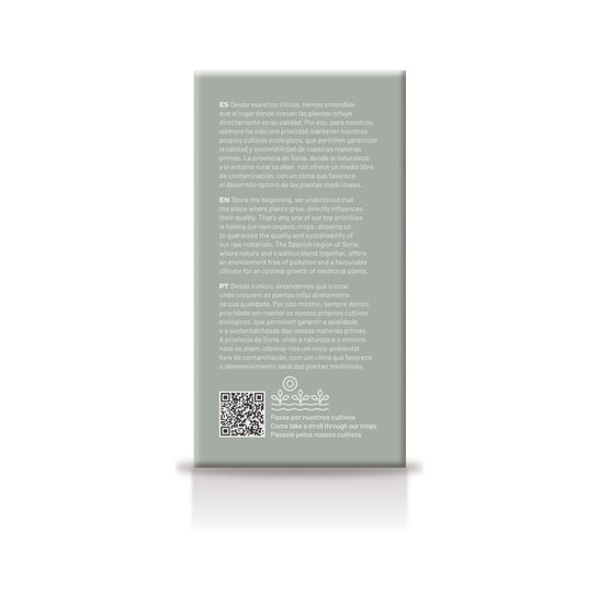 Soria Natural Regamint infusion 20 filtres
