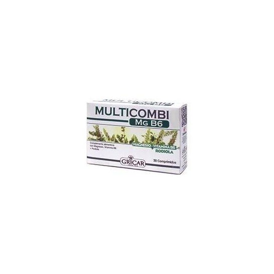Herbofarm Multicombi Mg B6 30comp.