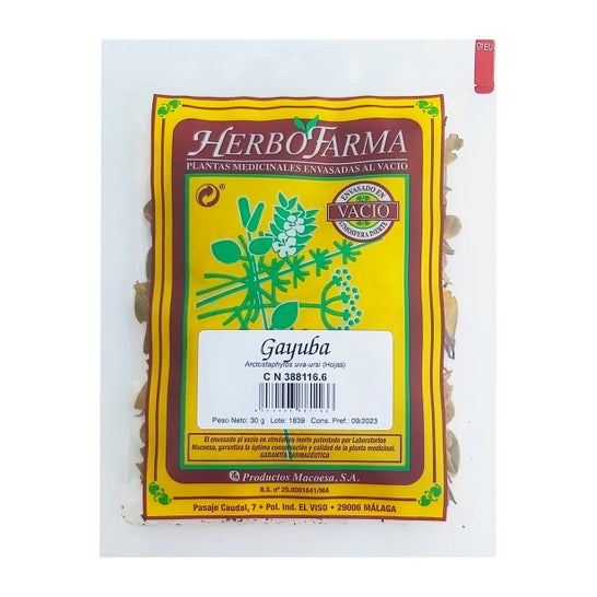 Herbofarma Gayuba Al Vacio 40 G *