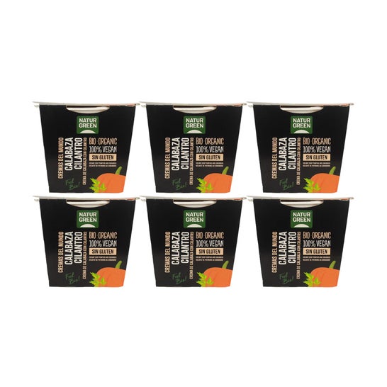 NaturGreen Pack Crème de Potiron et Coriandre Bio Pack 6x310g