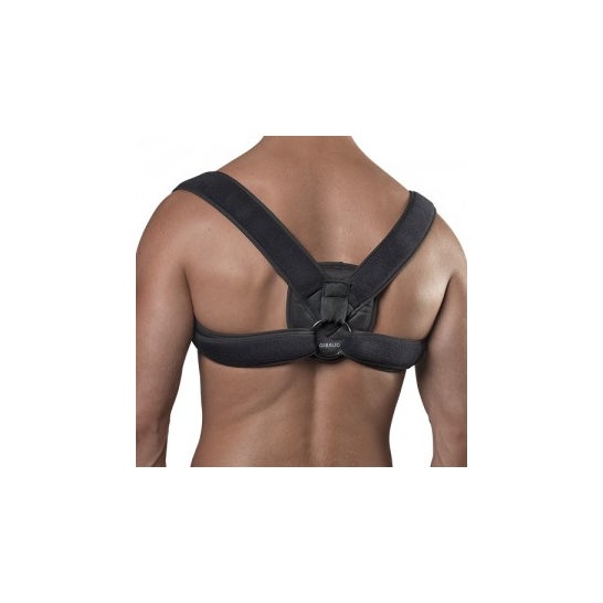 Gibaud Ortho Clavicle Block J