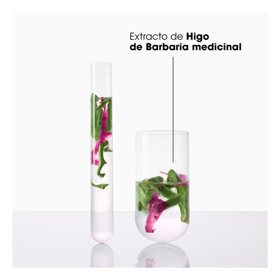 Klorane Shampoing Désaltérant Au Figuier De Barbarie 400ml