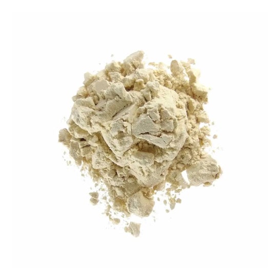 HSN Proteína de Soja Aislada 2.0's Manzana 500g