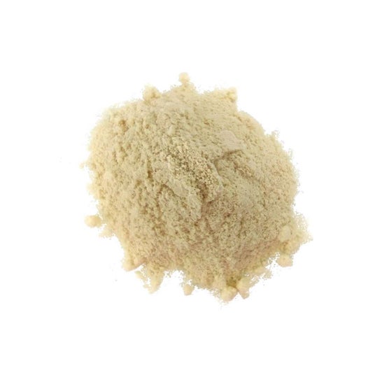 HSN Evowhey Protein Crema Catalana 500g