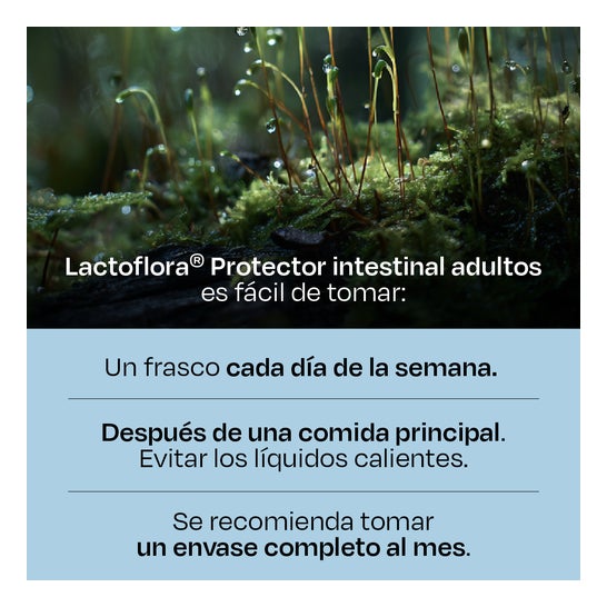 Lactoflora Protecteur Intestinal Adultes 10 Flacons