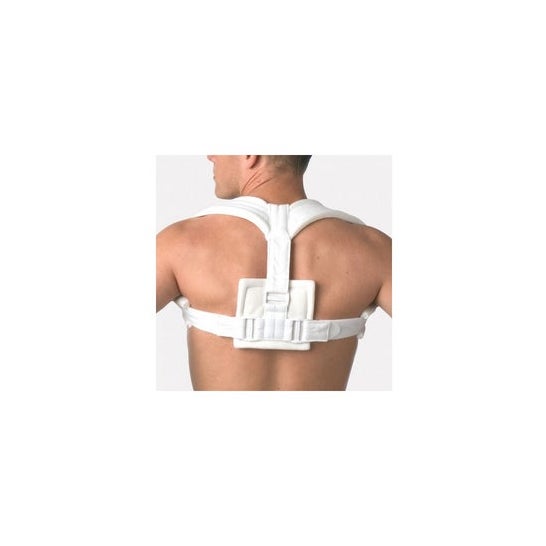 Lohmann & Rauscher Harnais Claviculaire 4162 Taille 2 1ut