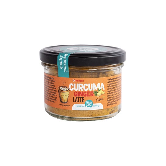 Terrasana Curcuma Gingembre Latte Bio 70g