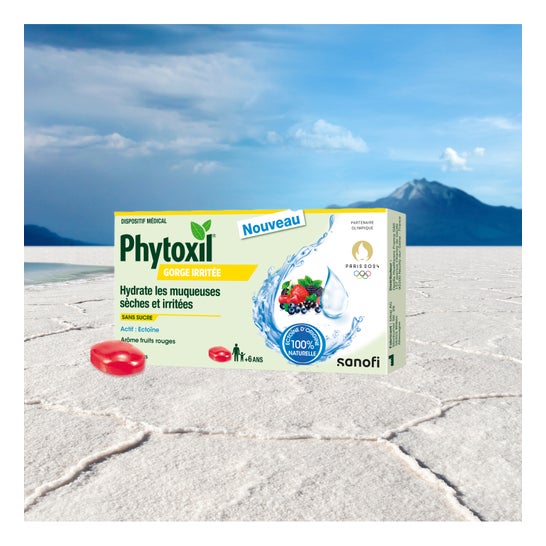 Phytoxil Gorge Irritée Fruits Rouges 16 Pastilles