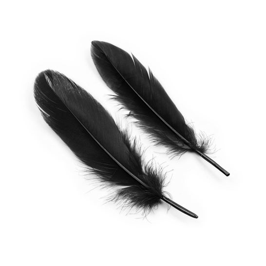 Crushious Kit Lover's Dream Noir