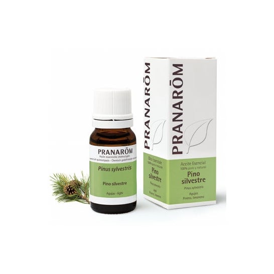 Pranarôm Huile essentielle Pin sylvestre 10ml