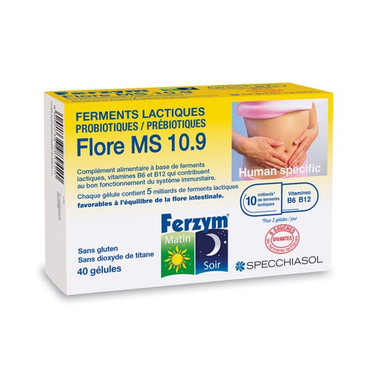 Specchiasol Ferzym Flore Ms 10.9 40 Gélules