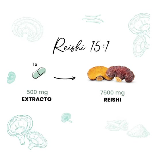 HSN Extracto de Reishi Complex 15:1 500mg 120vcaps