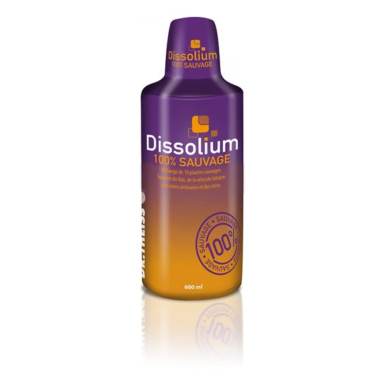 Dr Theiss Dissolium Solution Buvable 600ml