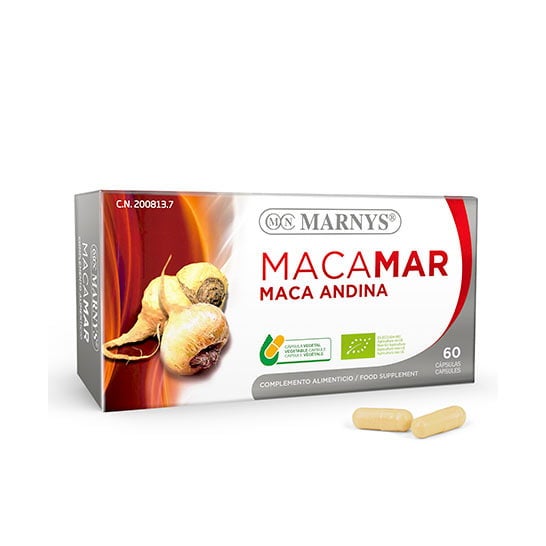 Casquette Marnys Macamar 60 Capuchon