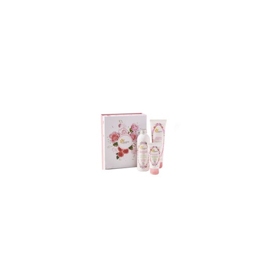 Fleurance Nature Coffret Nol Rose