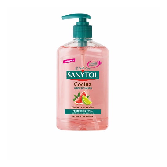 Distributeur de savon de cuisine antibactérien Sanytol 250ml