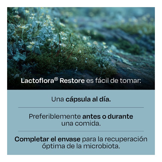 Lactoflora Restore 20caps