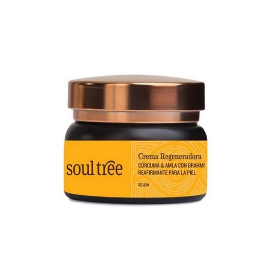 Soultree Crème pour le visage Curcuma Amla Bhrami 60g