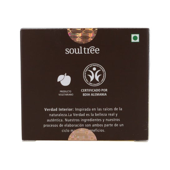 Soultree Crème pour le visage Curcuma Amla Bhrami 60g
