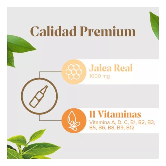 Arkoreal Gelée Royale Forte Plus 20 Ampoules Arkoreal Gelée Royale Forte Plus 20 Ampoules