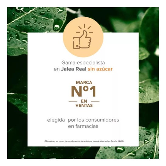 Arkoreal Gelée Royale Forte Plus 20 Ampoules Arkoreal Gelée Royale Forte Plus 20 Ampoules