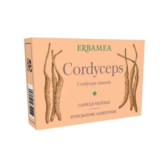 Erbamea Cordyceps 24caps