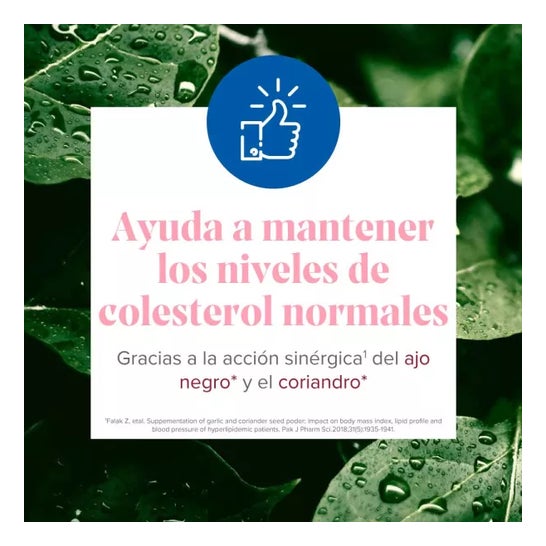 Arkopharma Arkosterol Plus 2x30 Gélules
