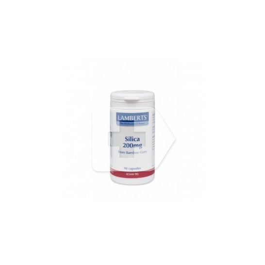 Lamberts™ Silice 200Mg 90càps