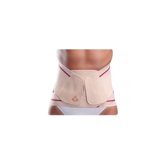 Orliman Girdle Ev-200 L/5 L/5
