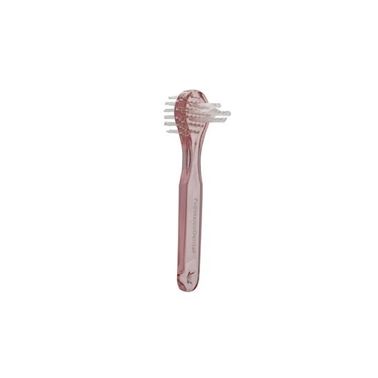 Foradent brushåÊdental prothèse dentaire 1ud