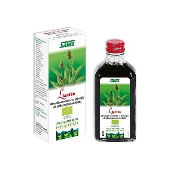 Salus Llanten Expectorant Sirop 250ml
