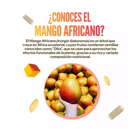 HSN Extracto de Mango Africano 10:1 400mg 120vcaps