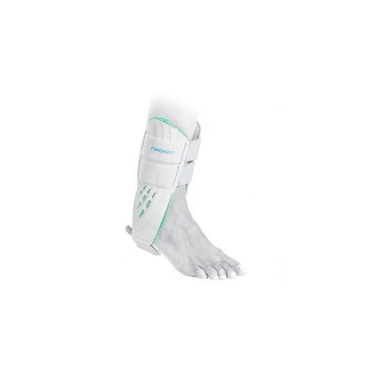 Orth Aircast Chev Class Ii G T