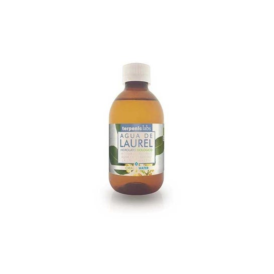 Hydrolat de Laurier Terpénique Bio 100ml