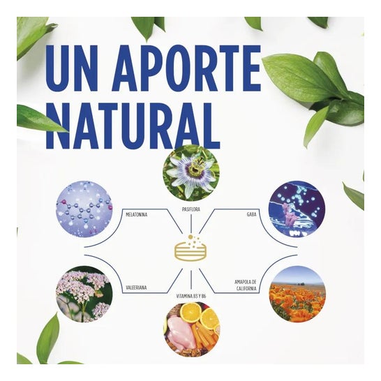 Eladiet Good Night 30 Comp Eladiet Good Night 30 Comp