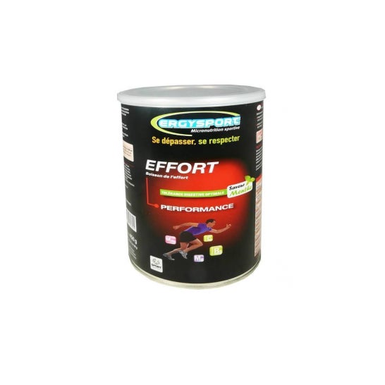 Ergysport Effort Menthe 450G