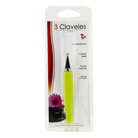 3 oeillets coupés oeillets couleur 10cm 1ud 1ud