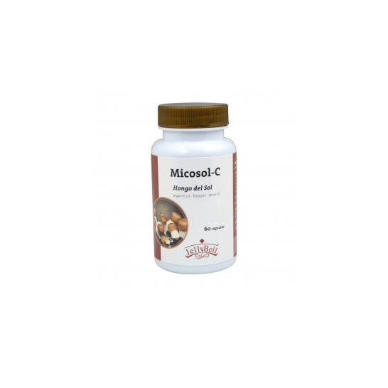 Auroshikha Cones Garden of Nature Fragrance Lavande 20 Unités