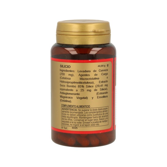 Obire Silicio 25mg 90 Gélules